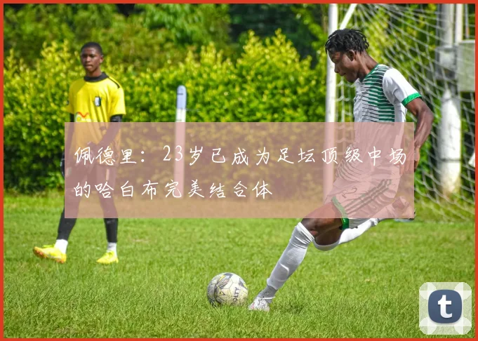 佩德里：23岁已成为足坛顶级中场的哈白布完美结合体